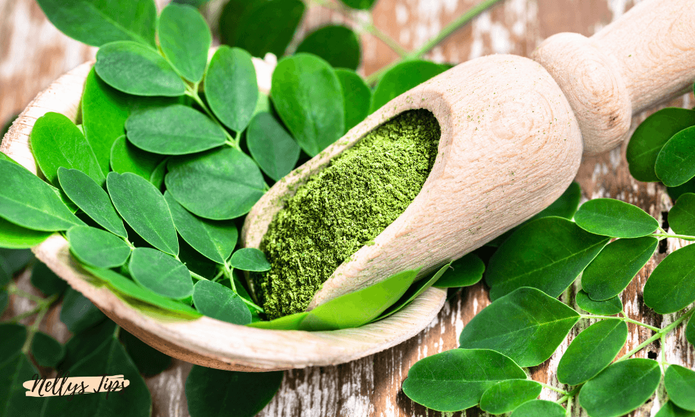 Träsked med grönt moringapulver och färska blad – naturligt superfood rikt på näring.