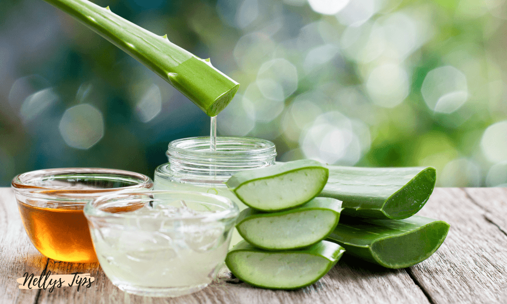 Färsk aloe vera, honung och gel i skålar för naturlig hudvård och återfuktning.