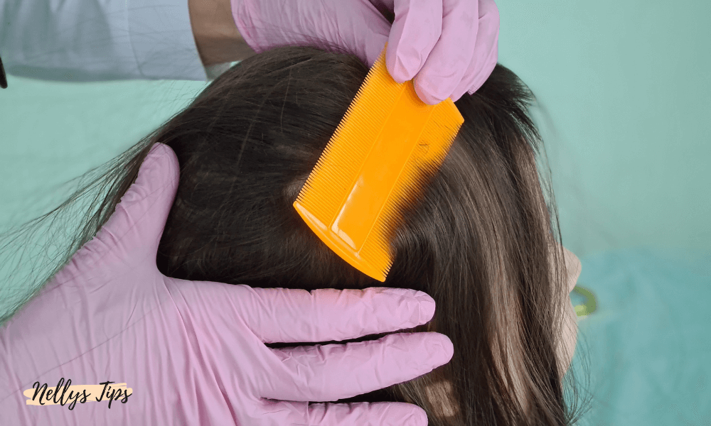 Professionell lusundersökning med orange kam i barnets hår, utförd med engångshandskar.