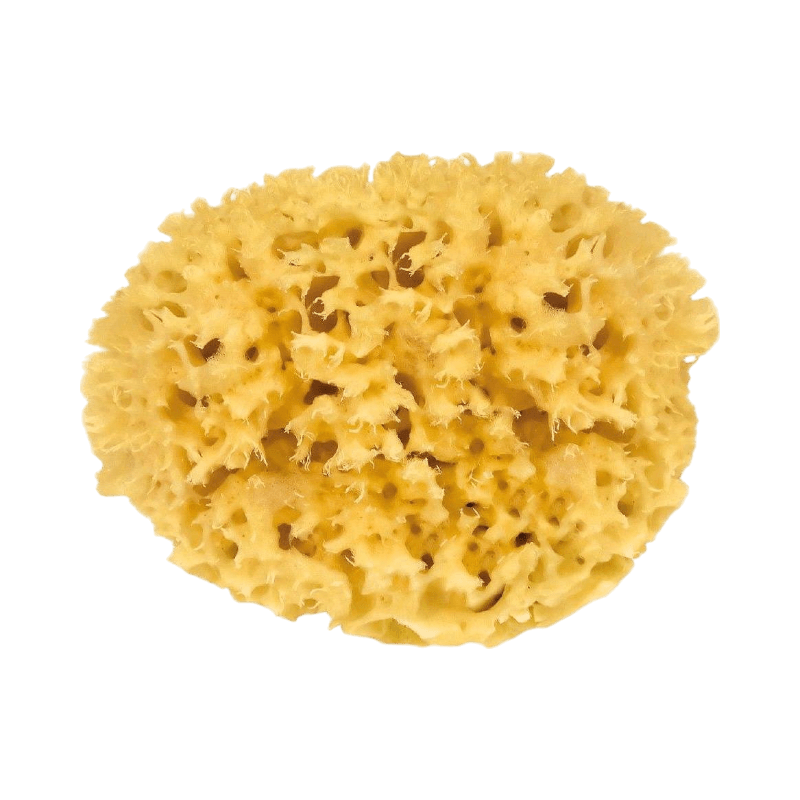 Natursvamp från Croll & Denecke 8 cm för mild rengöring och peeling av ansikte och kropp.