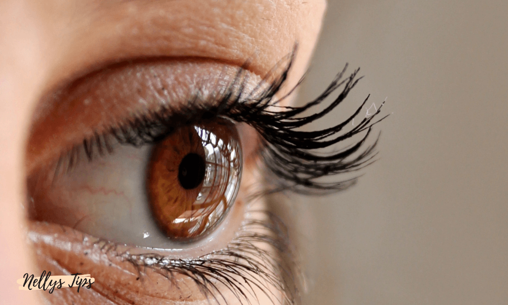 Närbild på öppet öga med långa, böjda fransar stylade med ögonfransprimer och mascara
