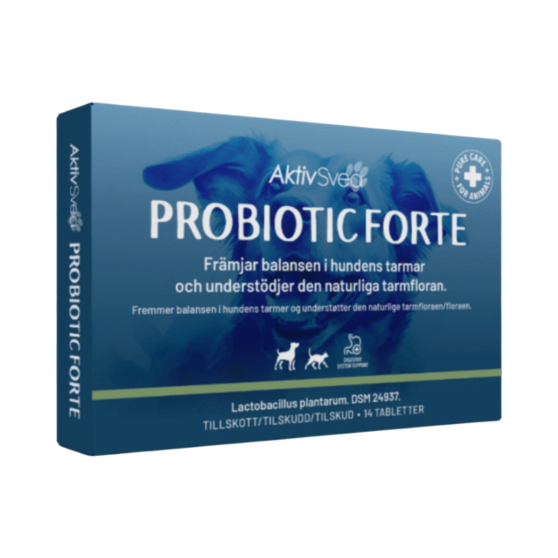 Probiotic Forte stödjer hundens tarmflora med Lactobacillus plantarum i tablettform för husdjur.